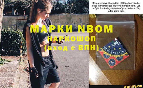 молекула духа Медвежьегорск