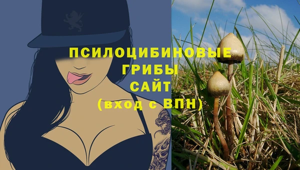 молекула духа Медвежьегорск