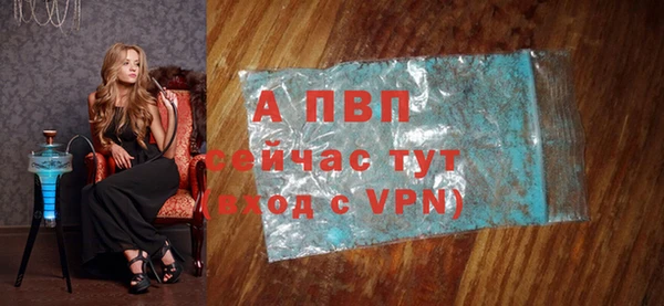 молекула духа Медвежьегорск