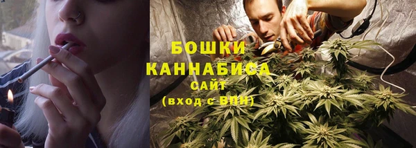 спиды Магас