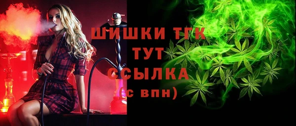 молекула духа Медвежьегорск