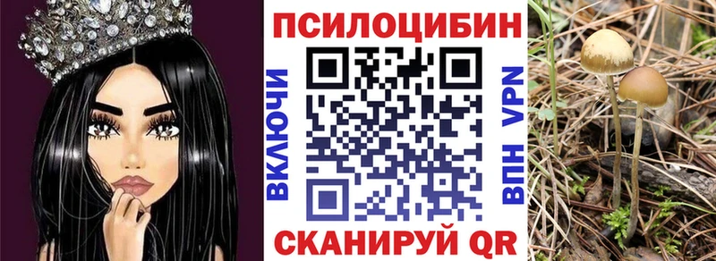 mega зеркало Новая Ляля Галлюциногенные грибы Psilocybe